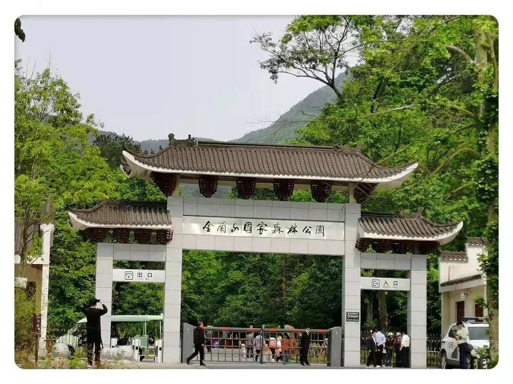 5月3日,新县红绿景区人气全面爆发,假日旅游再攀高峰