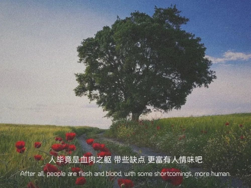 人毕竟是血肉之躯 带些缺点 更富有人情味吧