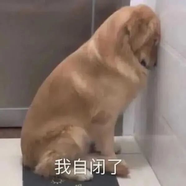 表情包|狗狗 萌宠沙雕系列