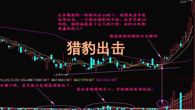 猎豹出击战法捕捉底部放大量大涨行情
