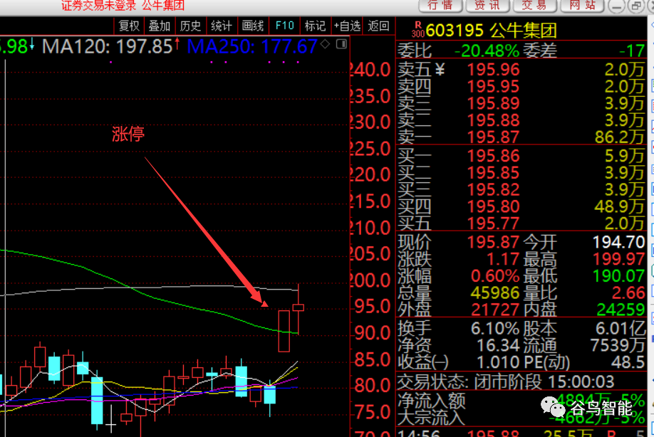 4月19日晚谷鸟智能系统选出的4月20日股票池中,曾经出现过603195 公牛