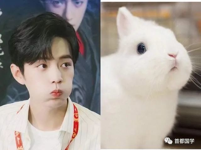 肖兔子系列从肖战幼儿园照片看儿童快乐教育