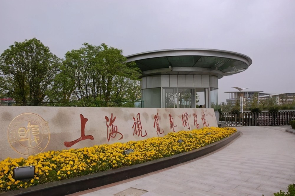 上海艺术视觉艺术学院_上海视觉艺术学院读一年多少钱_上海复旦艺术视觉学院
