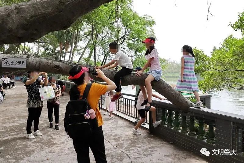 【曝光台】这些旅游不文明行为煞风景!