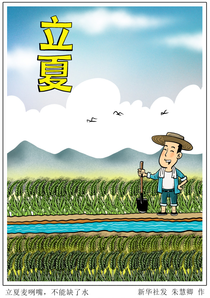 (图表·漫画)【二十四节气·立夏】立夏麦咧嘴,不能缺