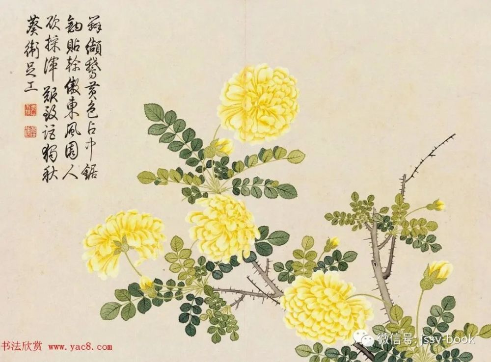 清-钱维城《花卉册页》