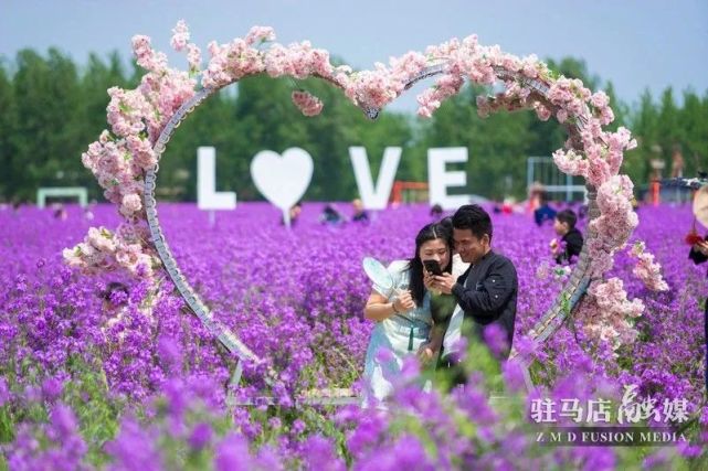 在芝麻小镇里,除了美丽壮观的各种花海和各种游乐项目是游客热衷的网