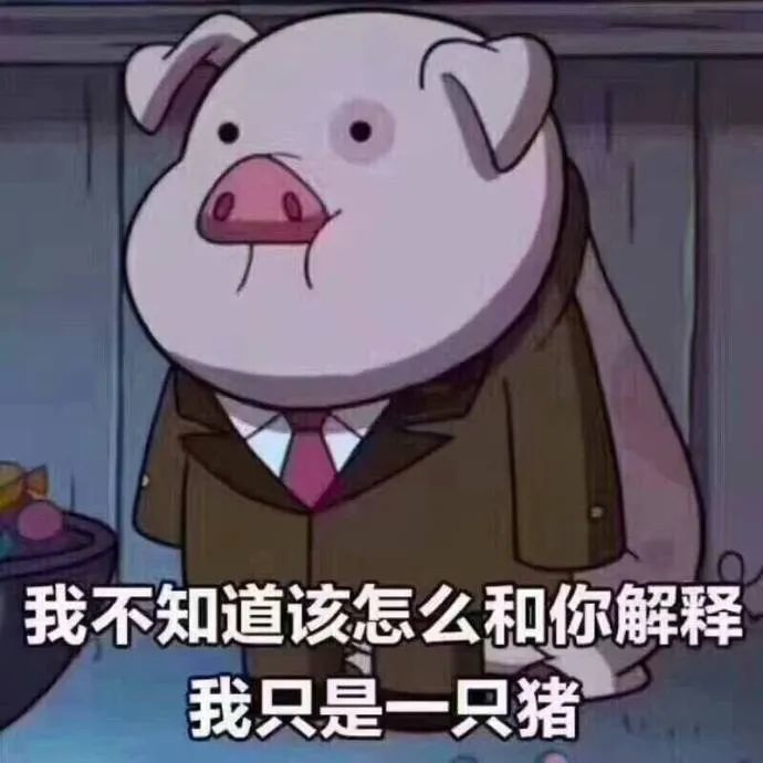 表情包:我不知道该怎么和你解释我是一只猪