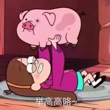 表情包我不知道该怎么和你解释我是一只猪