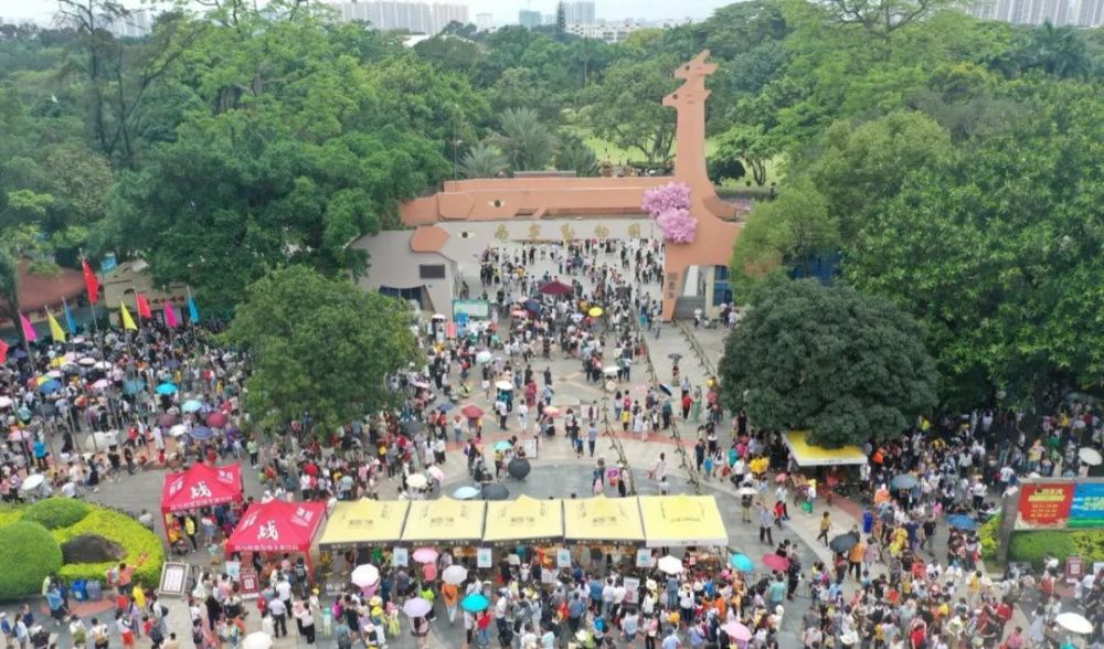 人从众!南宁动物园刷爆朋友圈,网友:看人还是看动物?返程高峰预测