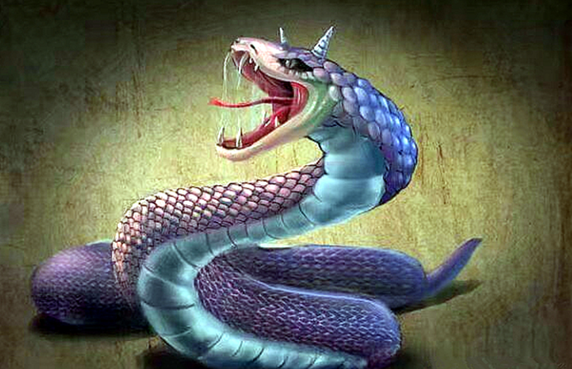 梦见众多蛇，女性视角下的深层寓意与心理解析