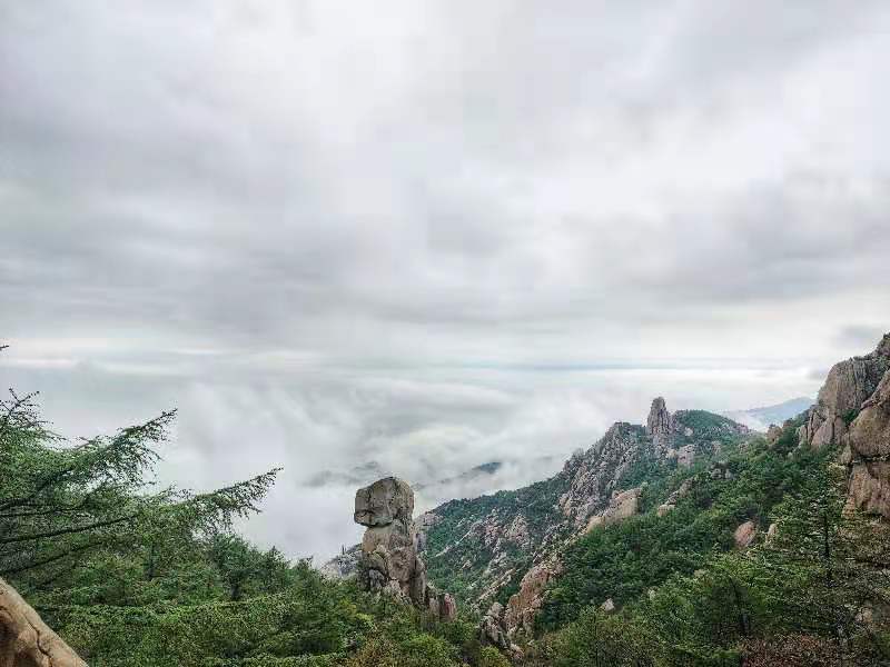 壮观!五一节假日 崂山巨峰开启云海观赏模式