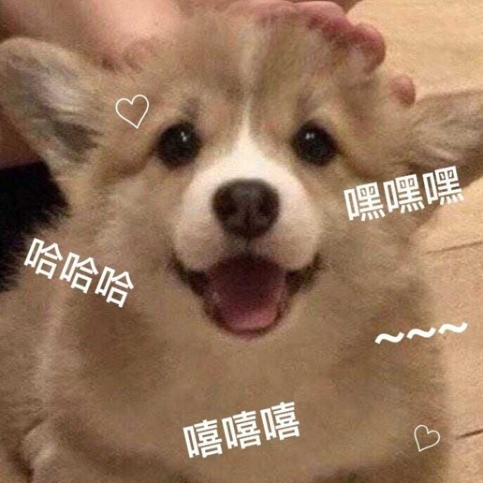 表情包|沙雕表情包 518期