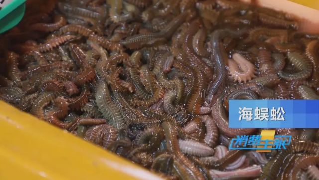 cctv消费主张报道霞浦海鲜 春天的味道:滩涂海鲜,肥美