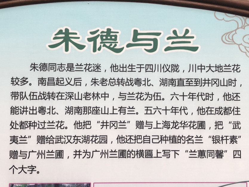 兰香简谱_兰香子(2)