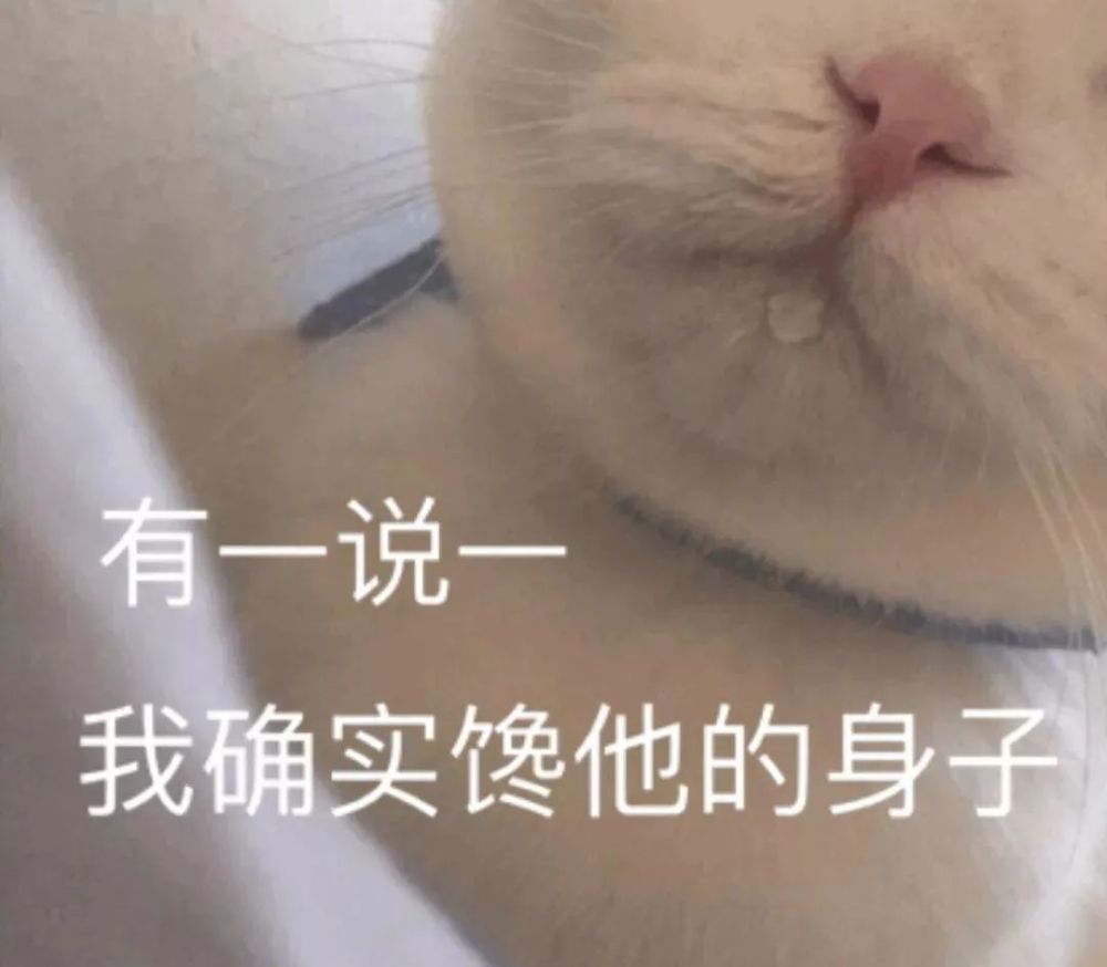 表情|啊绝望的人生