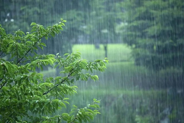 青春物语:世间最美,不过与心上人一起赏雨听风