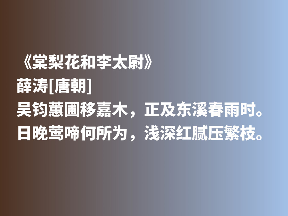 曾与元稹有一段凄美的爱情,唐朝才女薛涛,抒情与咏物诗意境绝美