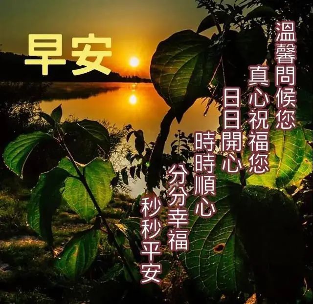 清晨漂亮鲜花早上好问候祝福动态表情图片,最新早安问候祝福图片带字