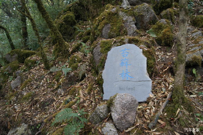 【哀牢山行05】云南新平哀牢山茶马古道景区