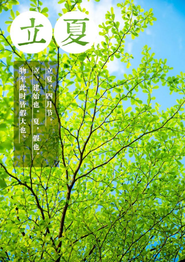2021年5月5日 立夏节气 春意了无痕 立夏缓缓来 从今天开始 炎热的