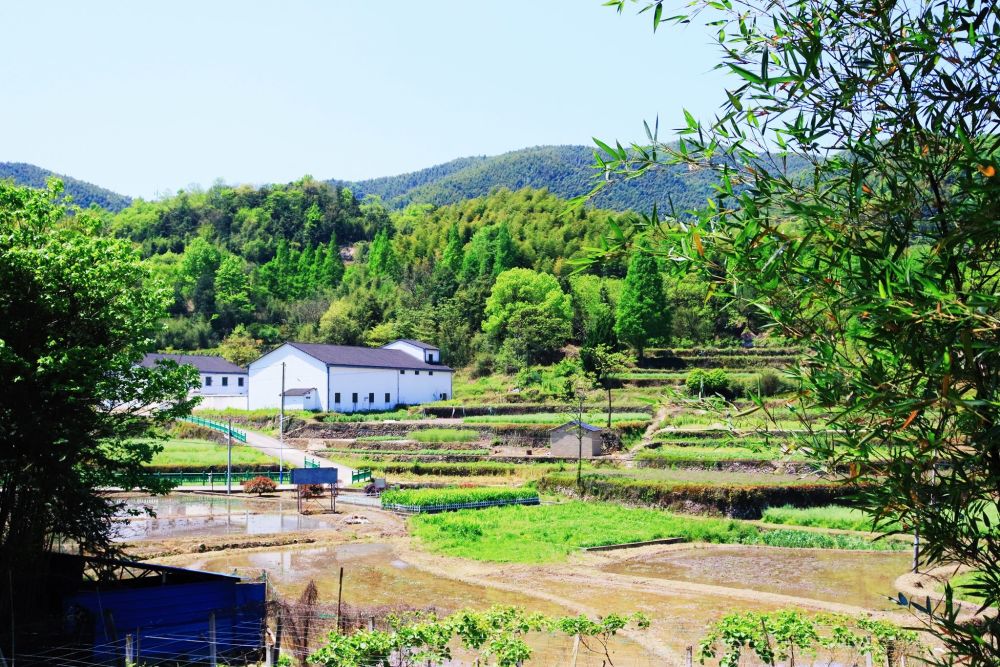 蓝山县自然村人口排名_蓝山 灾后重建工作成效显著(3)