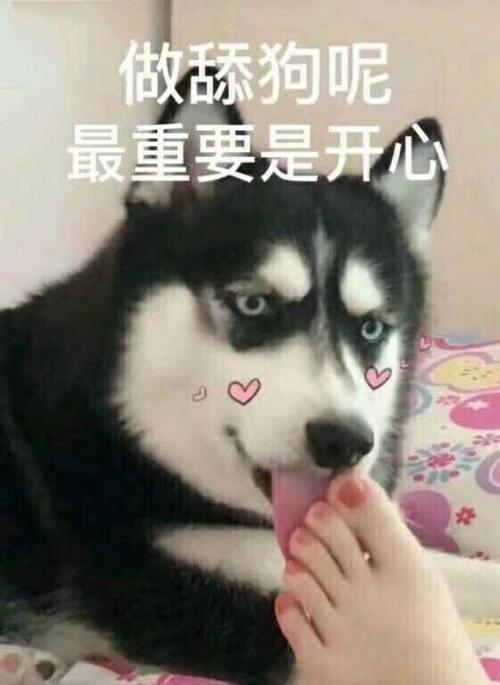 有什么扎心的舔狗语录?