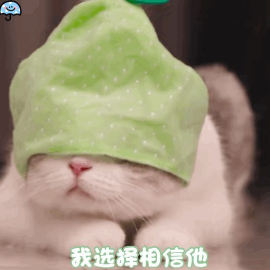 表情包专栏卖惨小猫咪也太可爱了吧