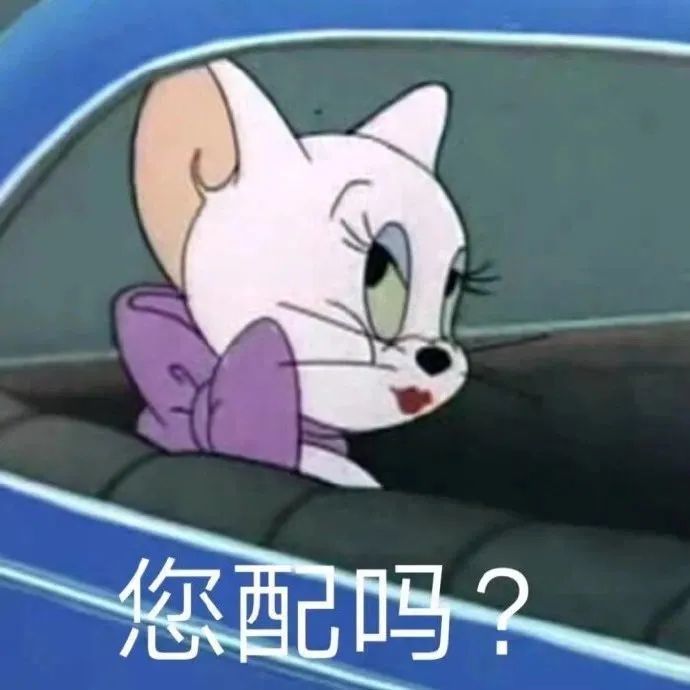 猫和老鼠表情包_腾讯新闻