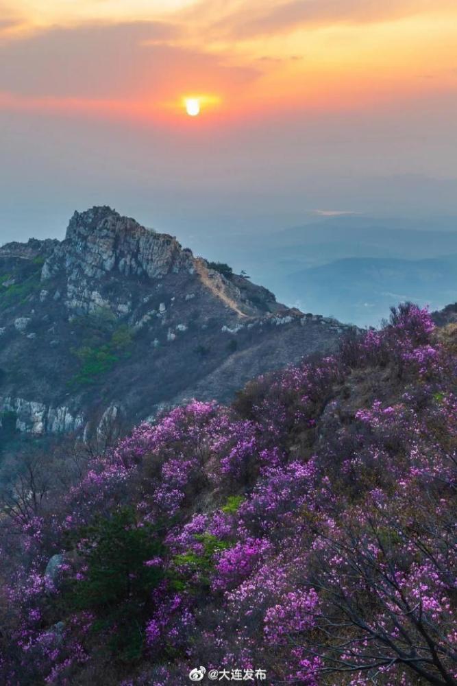 走～大黑山看杜鹃花海