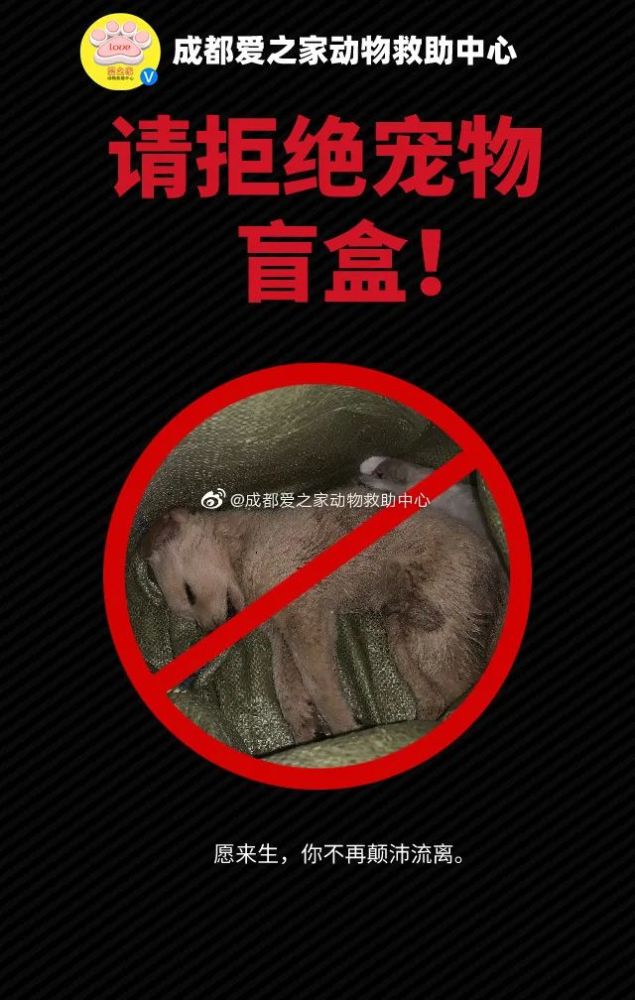 9元"宠物盲盒,上百小猫小狗竟被活活憋死,饿死!中通快递深夜回应