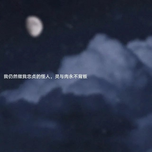 文案|世间万物皆苦 你明目张胆的偏爱就是救赎