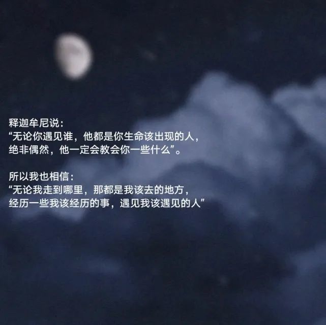 文案|世间万物皆苦 你明目张胆的偏爱就是救赎