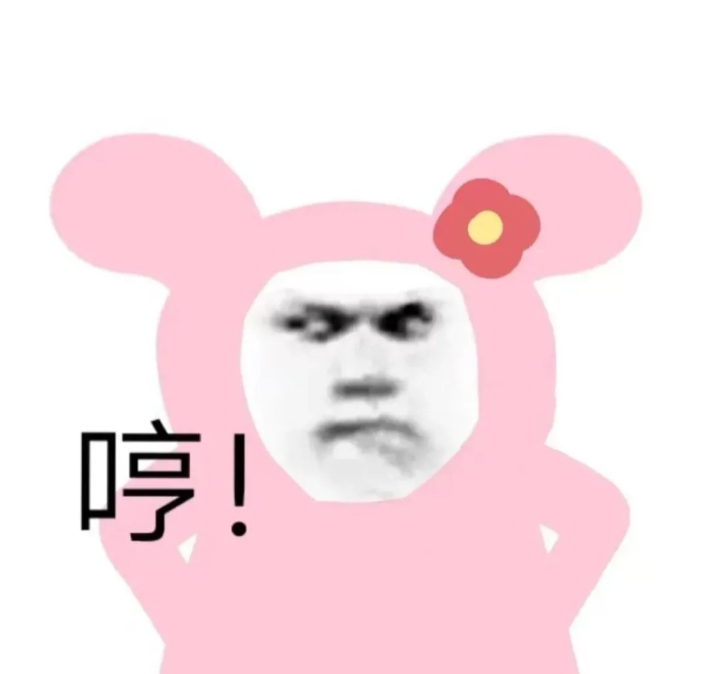 表情包系列:你胡说 我才没脱发