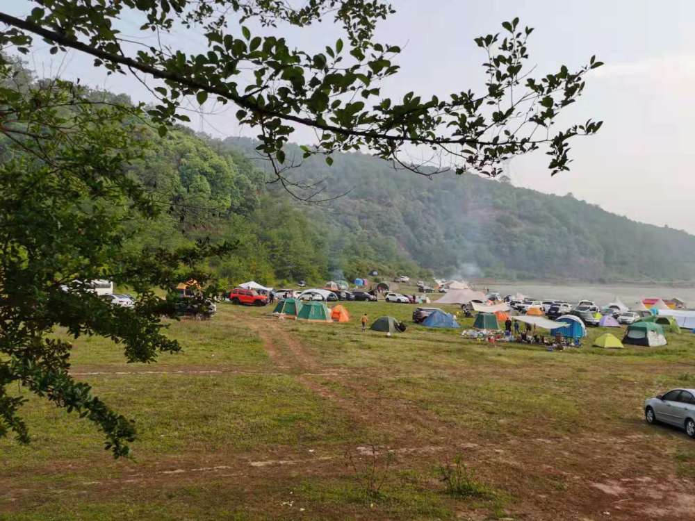 武定干河水库露营地爆满