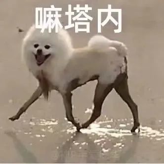 表情包西内