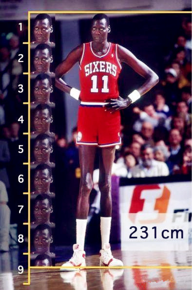 nba历史上,各支球队身高最高球员都有谁?连姚明居然也