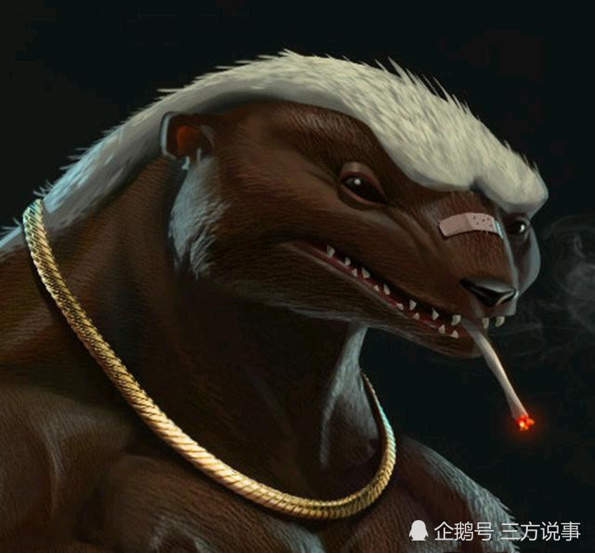 不服就干,没有撤退可言,它是