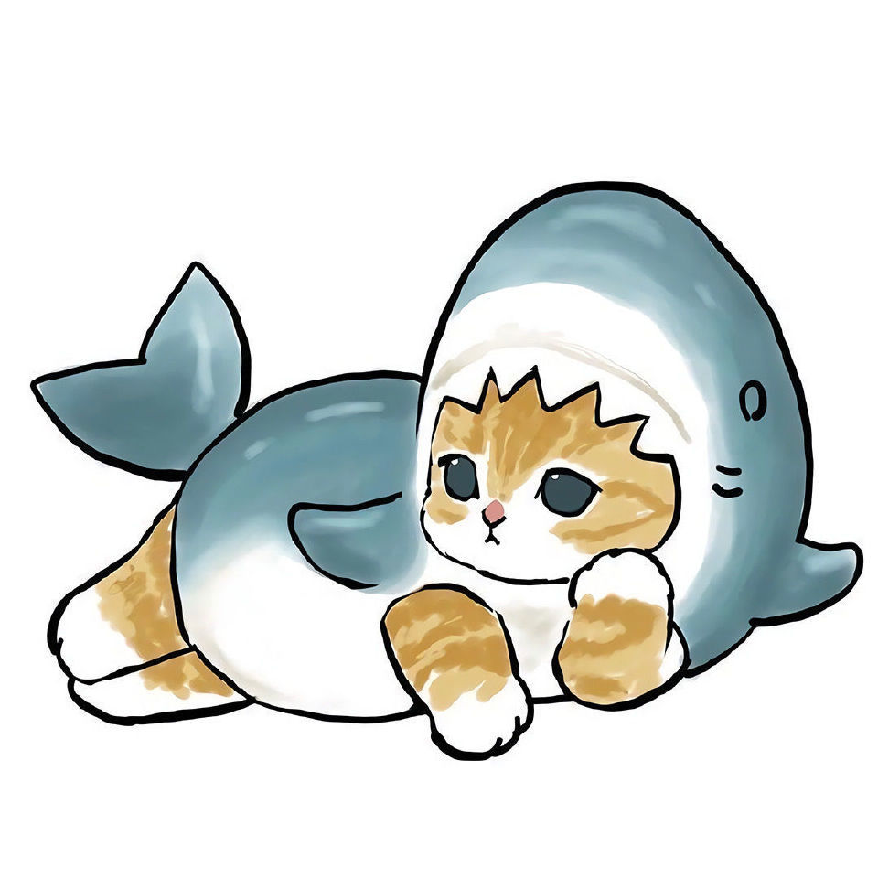 头像|可爱猫猫小鲨鱼头像