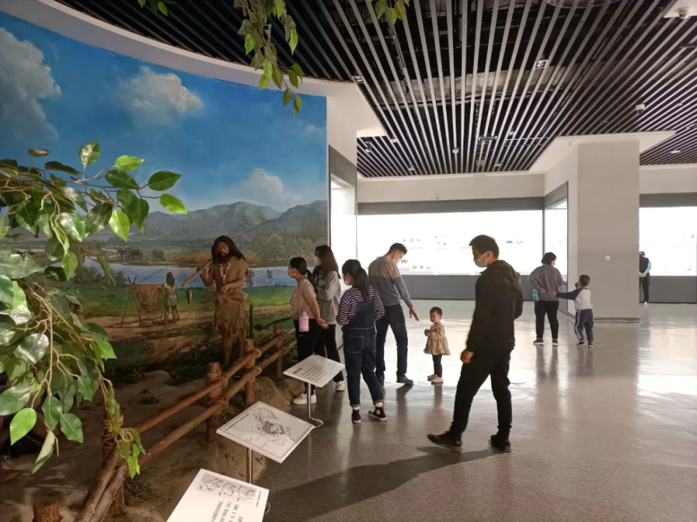 "五一"假期滨州市博物馆接待市民游客1.3万人