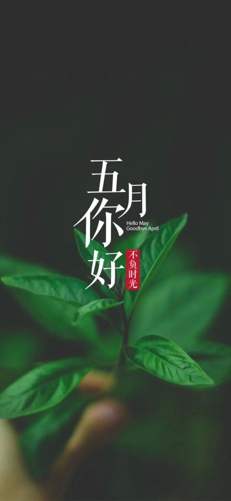iphone壁纸|优选苹果壁纸高清5.