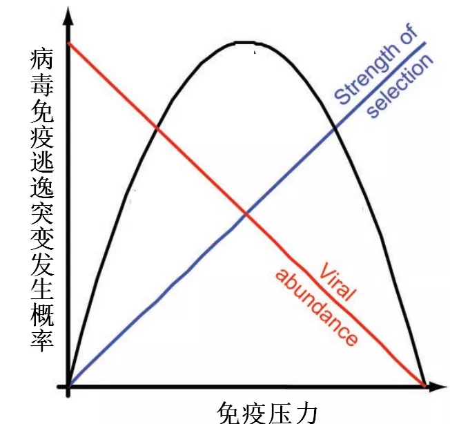 "双重突变"的新冠病毒,对印度疫情恶化影响几何?