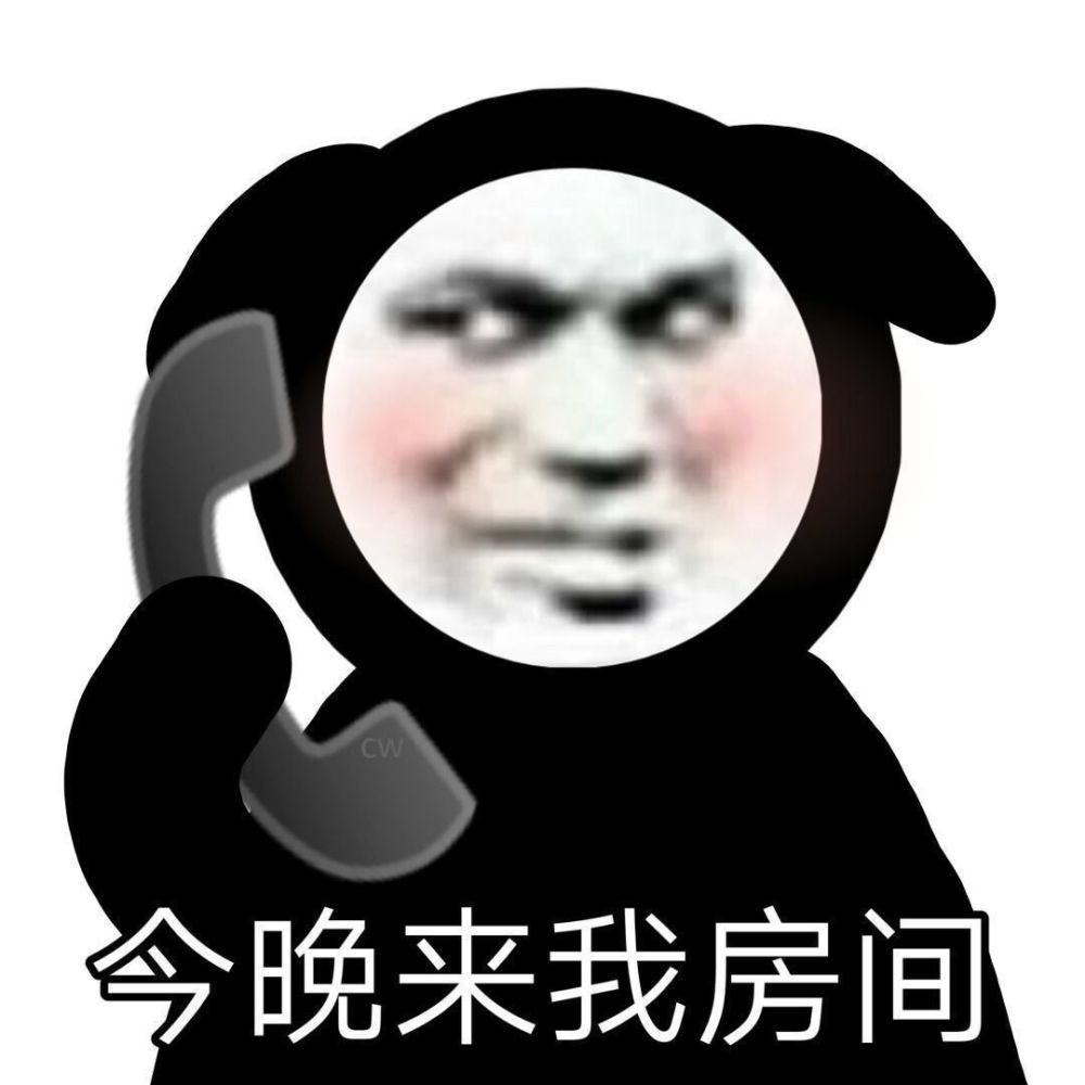 熊猫表情包:谁是世界上最美的人