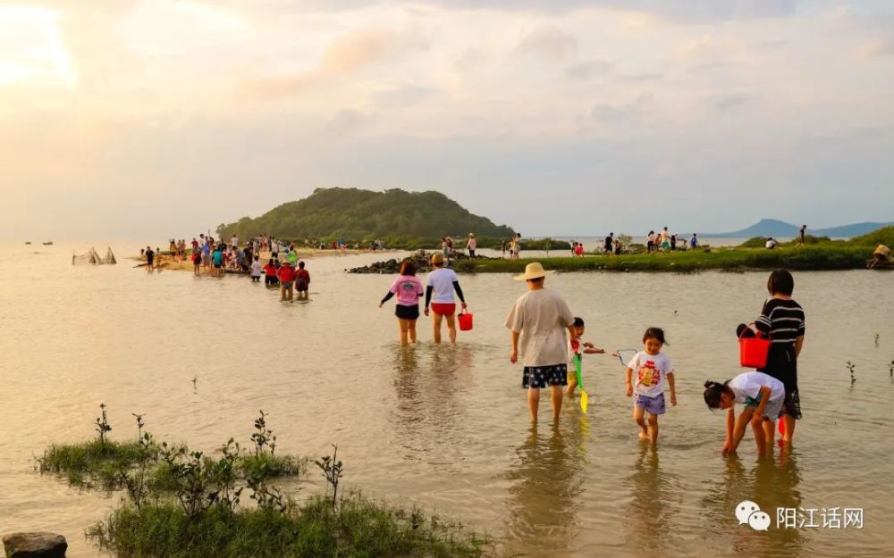 阳江市海陵区北极·里灶村·丫洲岛众多游客赶海美景(晚上篇)