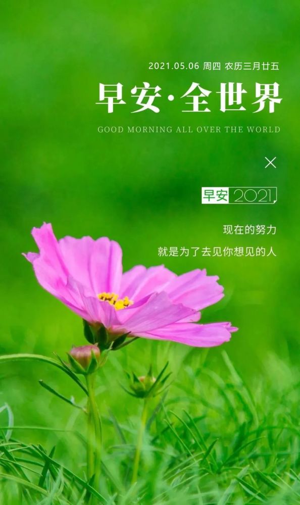 正能量早上好图片配图,励志激励早安语录,让拼搏掷地有声!
