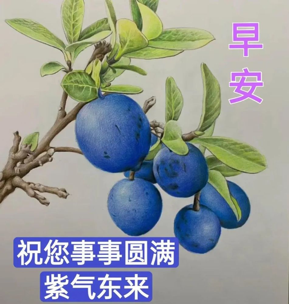 最新漂亮夏天早上好鲜花图片带字,夏天最美风景早安图片带祝福语