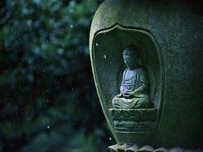 风吹雨打知生活 苦尽甘来懂人生