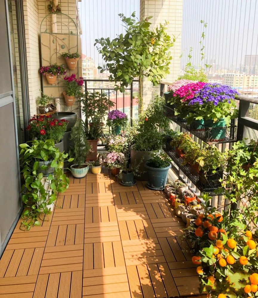 阳台也能玩出新花样,砌上水泥种花草,分分钟get同款阳台花园