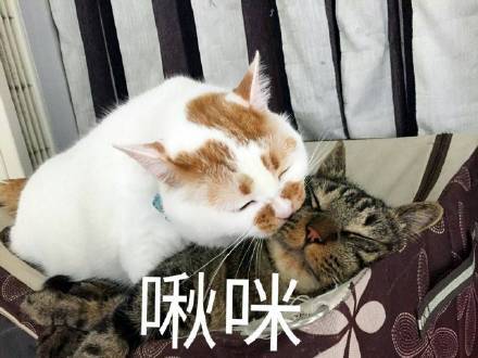 适合猛男之间使用的"啾咪"表情包