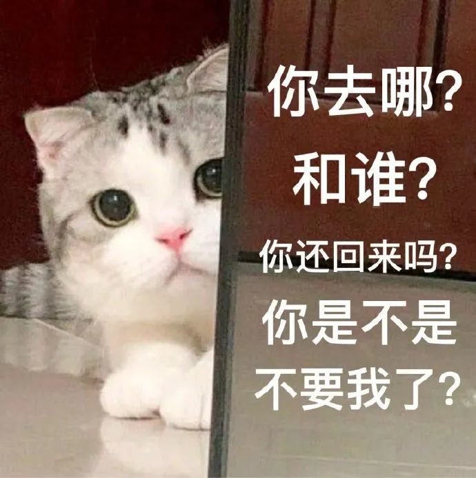 表情包:猛虎落泪